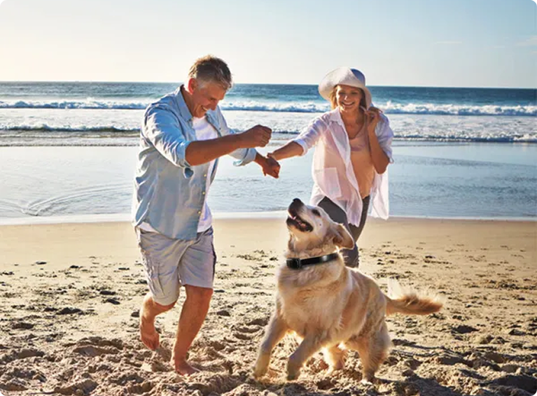 Essentials For Simple Living