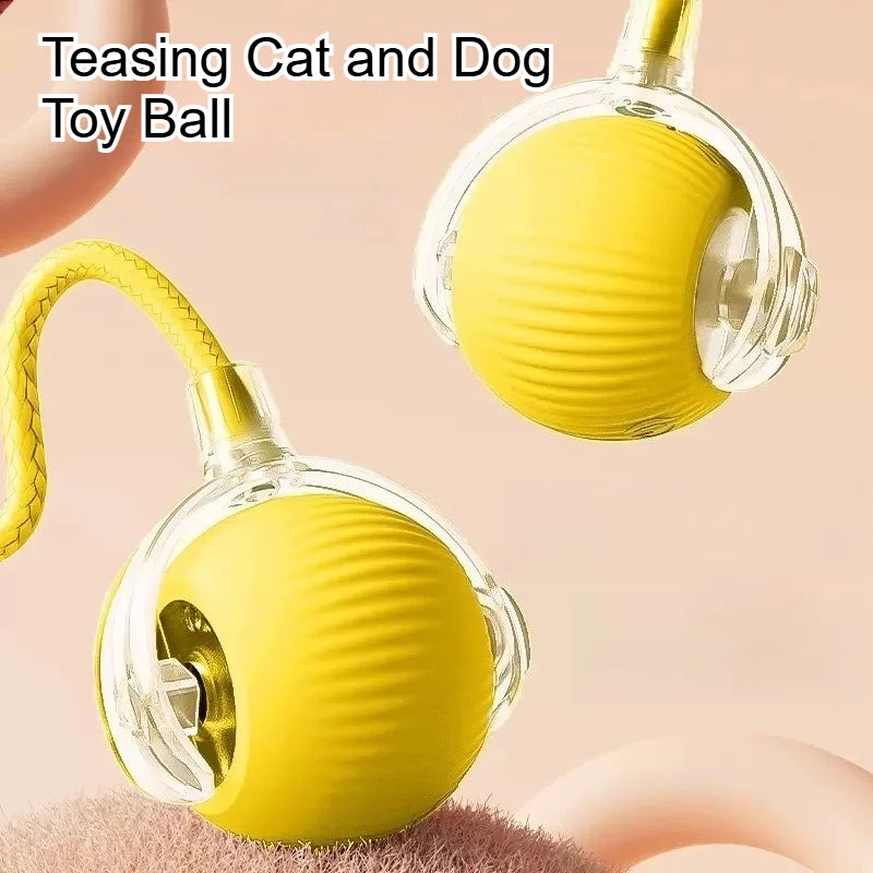 Dog and cat toys, ball, durable, self-entertainment, with rope, cat teaser ball, pet supplies, jumping ball, thud pet toys