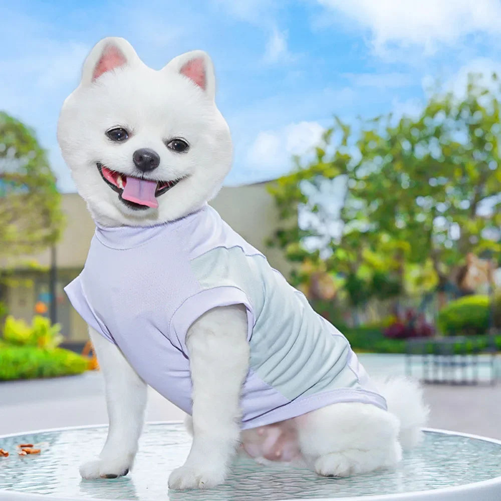 Dog Cooling Vest Shirts Breathable Cool Jacket Sun Protection Puppy Dog Cool Shirt for Outdoor Walking Training Hiking on Summer