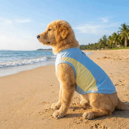 Breathable Mesh Dog Cooling Vest Comfortable Quick Drying Pet Summer Clothes Lightweight with D Ring Pet Tank Top