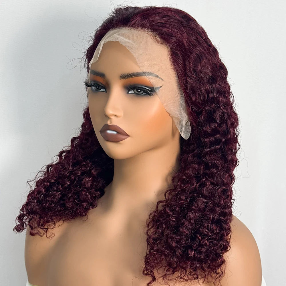 Double Drawn 250% Density Ombre 18 Inches Water Wave Curly Human Hair Wigs 13x4 Transparent Lace Frontal Hair Wig for Women