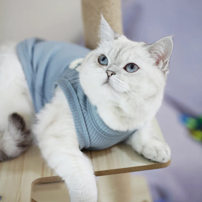 Summer Cool Cute Dog Vest For Puppy Breathable Small Cat Vest T-shirt Costume Bulldog Dog T-shirt Outdoor Dog Clothes