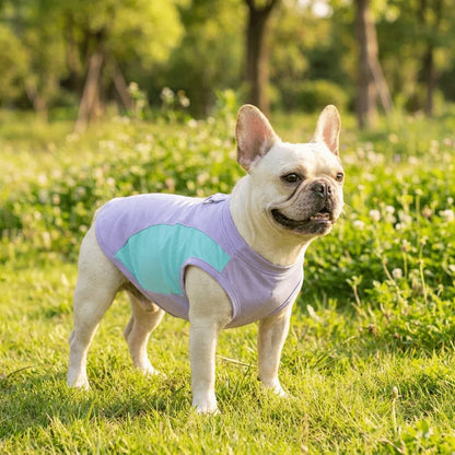 Breathable Mesh Dog Cooling Vest Comfortable Quick Drying Pet Summer Clothes Lightweight with D Ring Pet Tank Top