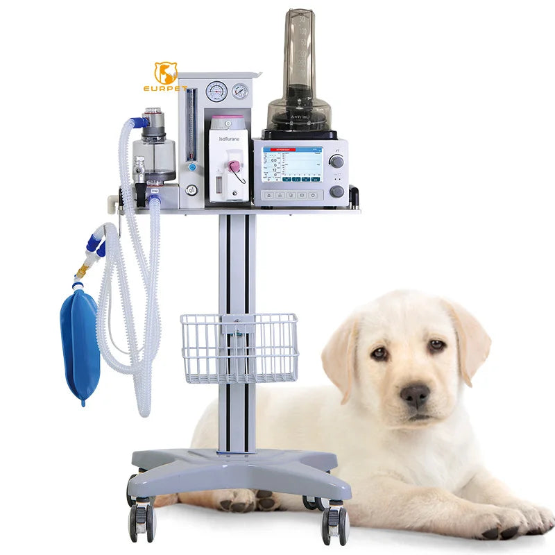 EUR PET Best Selling Veterinary Equipment Anesthesia Pet Clinic Use Anesthesia System Portable Anesthesia Circuits