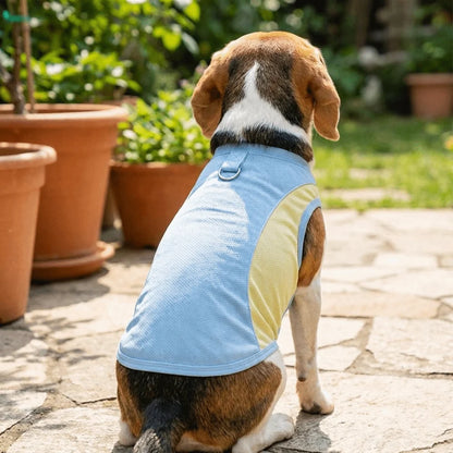 Breathable Mesh Dog Cooling Vest Comfortable Quick Drying Pet Summer Clothes Lightweight with D Ring Pet Tank Top