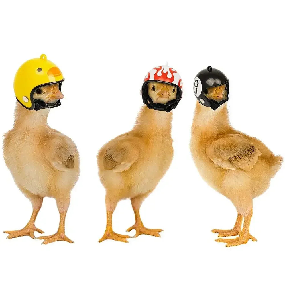 Chicken Helmet Pet Safety Funny Parrot Headwear Small Pet Hard Sun Rain Protection Small Helmets Accessories for Bird Parakeet