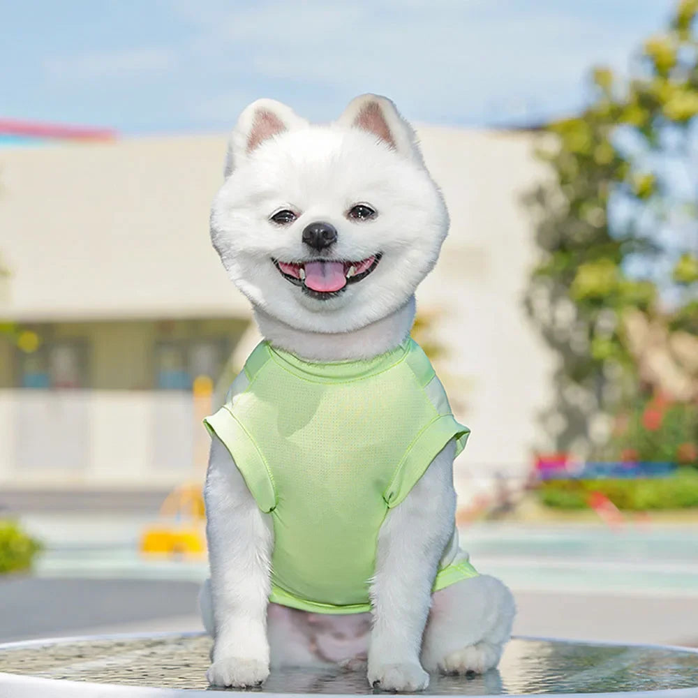 Dog Cooling Vest Shirts Breathable Cool Jacket Sun Protection Puppy Dog Cool Shirt for Outdoor Walking Training Hiking on Summer