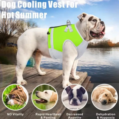 Dogs Cooling Vest Breathable Adjustable Fast Cooling Reflective Pets Ice Clothing for Summer Outdoor Hiking Walking Dogs Harness