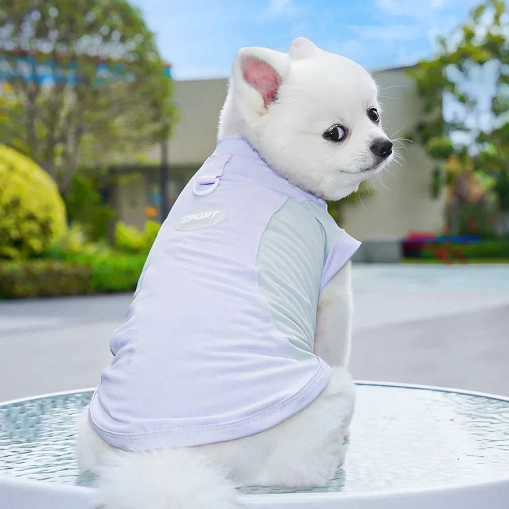 Dog Cooling Vest Shirts Breathable Cool Jacket Sun Protection Puppy Dog Cool Shirt for Outdoor Walking Training Hiking on Summer
