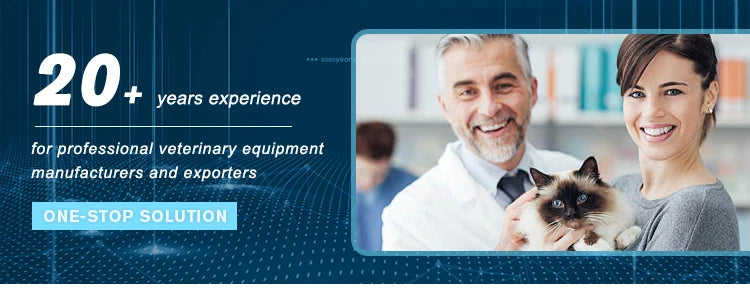 EUR PET Best Selling Veterinary Equipment Anesthesia Pet Clinic Use Anesthesia System Portable Anesthesia Circuits