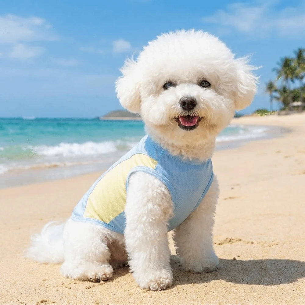 Breathable Mesh Dog Cooling Vest Comfortable Quick Drying Pet Summer Clothes Lightweight with D Ring Pet Tank Top