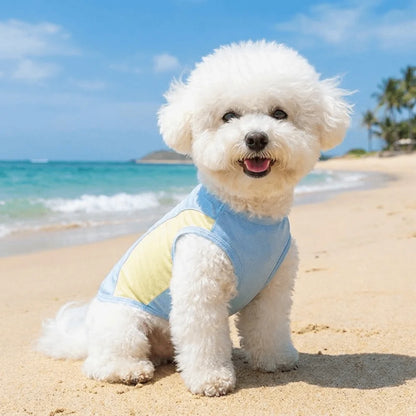 Breathable Mesh Dog Cooling Vest Comfortable Quick Drying Pet Summer Clothes Lightweight with D Ring Pet Tank Top