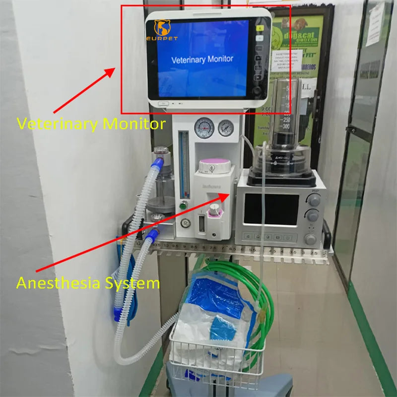 EUR PET Best Selling Veterinary Equipment Anesthesia Pet Clinic Use Anesthesia System Portable Anesthesia Circuits