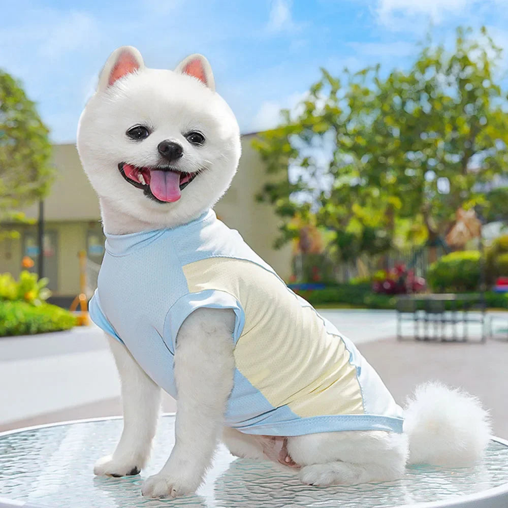 Dog Cooling Vest Shirts Breathable Cool Jacket Sun Protection Puppy Dog Cool Shirt for Outdoor Walking Training Hiking on Summer