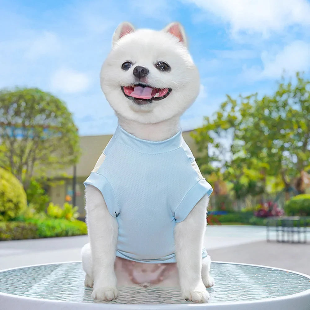 Dog Cooling Vest Shirts Breathable Cool Jacket Sun Protection Puppy Dog Cool Shirt for Outdoor Walking Training Hiking on Summer