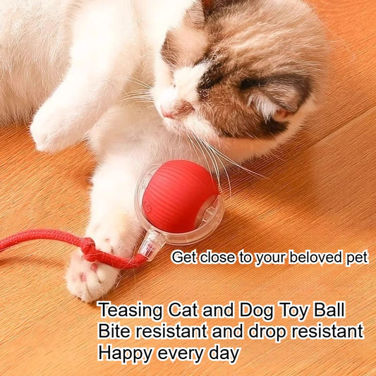 Dog and cat toys, ball, durable, self-entertainment, with rope, cat teaser ball, pet supplies, jumping ball, thud pet toys