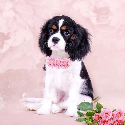 8PCS Valentine's Day Pet Decorate Bowtie with Diomand Grooming Flower Pink Dog Gifts for Small Dogs Accessories Wholesale