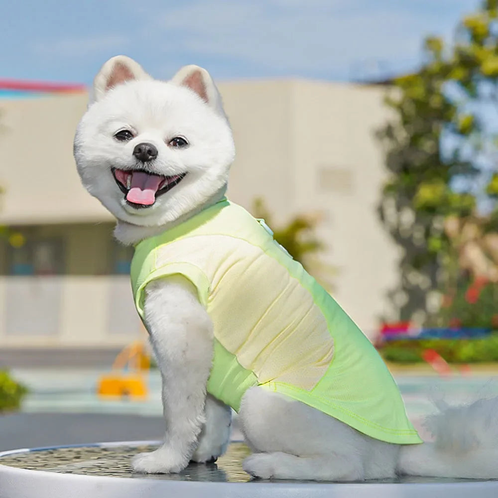 Dog Cooling Vest Shirts Breathable Cool Jacket Sun Protection Puppy Dog Cool Shirt for Outdoor Walking Training Hiking on Summer