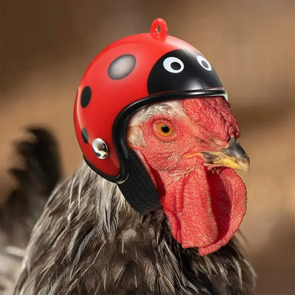 Chicken Helmet Pet Safety Funny Parrot Headwear Small Pet Hard Sun Rain Protection Small Helmets Accessories for Bird Parakeet