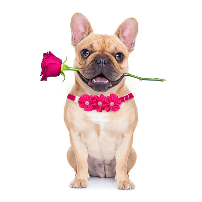 8PCS Valentine's Day Pet Decorate Bowtie with Diomand Grooming Flower Pink Dog Gifts for Small Dogs Accessories Wholesale