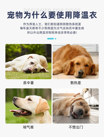 Dogs Cooling Vest Breathable Adjustable Fast Cooling Reflective Pets Ice Clothing for Summer Outdoor Hiking Walking Dogs Harness
