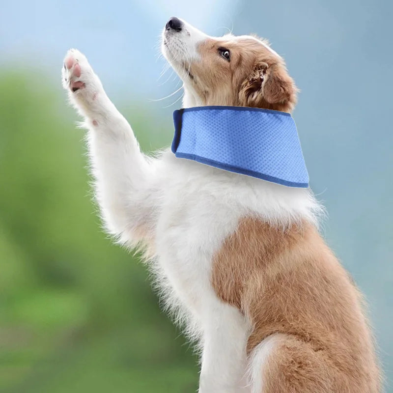 Breathable dog ice collar