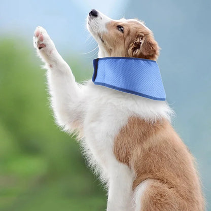 Breathable dog ice collar