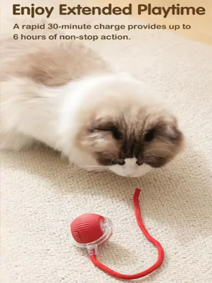 Dog and cat toys, ball, durable, self-entertainment, with rope, cat teaser ball, pet supplies, jumping ball, thud pet toys
