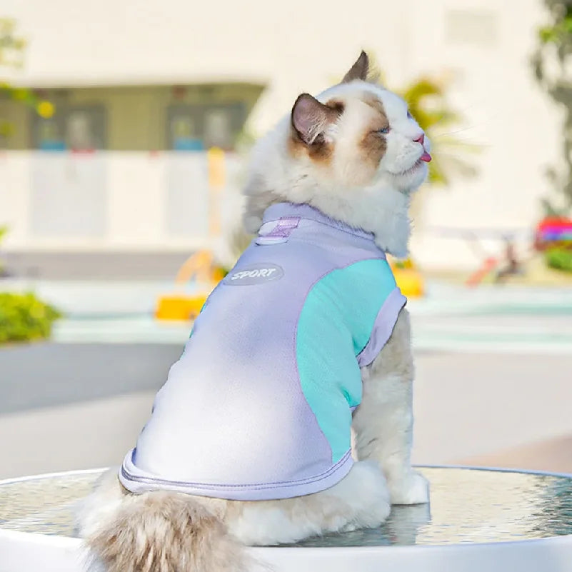 Dog Cooling Vest Shirts Breathable Cool Jacket Sun Protection Puppy Dog Cool Shirt for Outdoor Walking Training Hiking on Summer