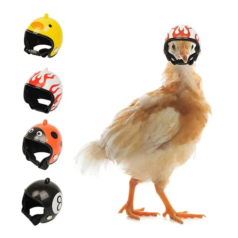 Chicken Helmet Pet Safety Funny Parrot Headwear Small Pet Hard Sun Rain Protection Small Helmets Accessories for Bird Parakeet