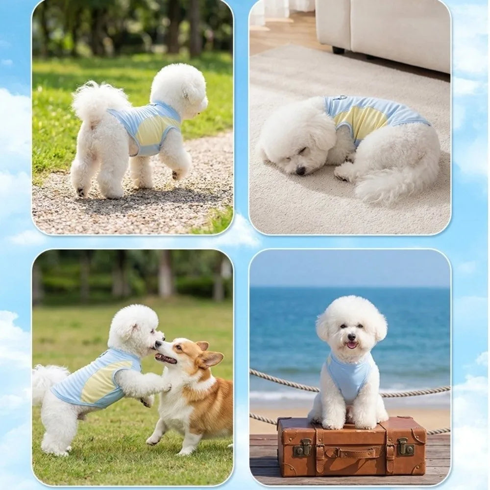 Breathable Mesh Dog Cooling Vest Comfortable Quick Drying Pet Summer Clothes Lightweight with D Ring Pet Tank Top