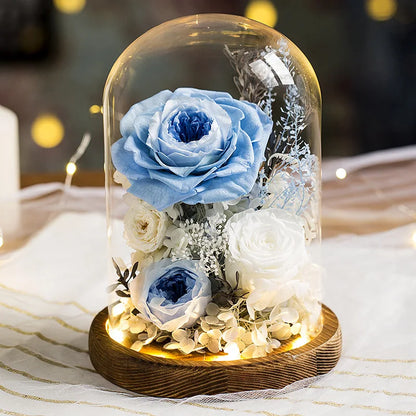 Eternal Flowers Preserved Rose In Glass Dome Cover Artificial Flower with Light Valentine's Day Christmas for Women Gift Box