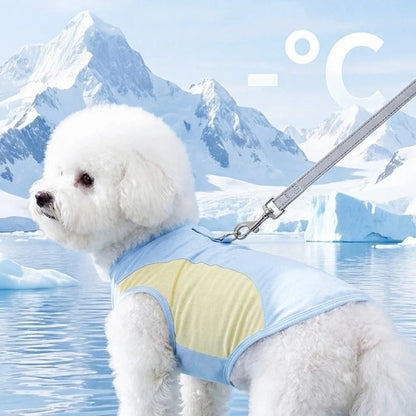Breathable Mesh Dog Cooling Vest Comfortable Quick Drying Pet Summer Clothes Lightweight with D Ring Pet Tank Top
