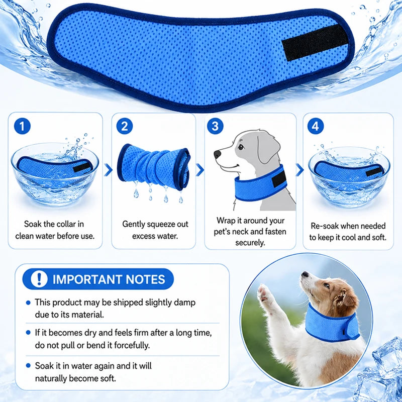 Dog wearing cooling scarf
