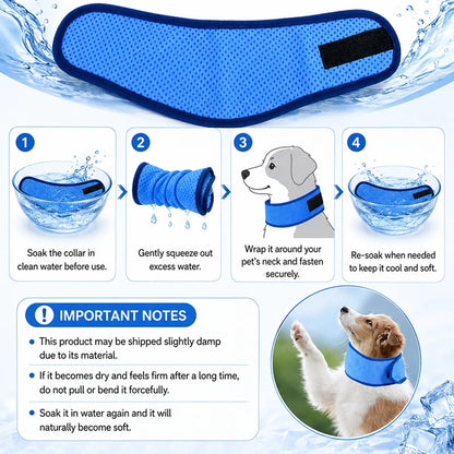 Dog wearing cooling scarf