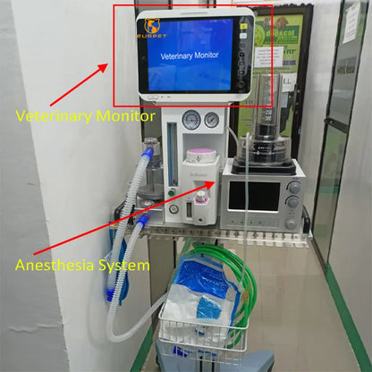 EUR PET Best Selling Veterinary Equipment Anesthesia Pet Clinic Use Anesthesia System Portable Anesthesia Circuits