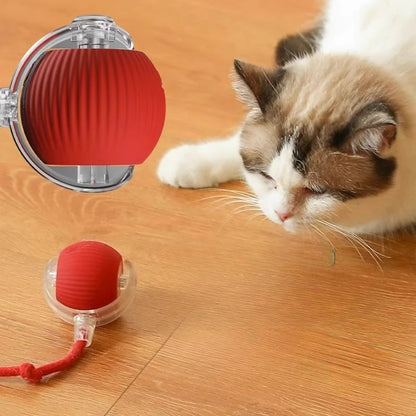 Dog and cat toys, ball, durable, self-entertainment, with rope, cat teaser ball, pet supplies, jumping ball, thud pet toys