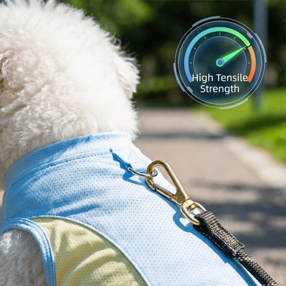 Breathable Mesh Dog Cooling Vest Comfortable Quick Drying Pet Summer Clothes Lightweight with D Ring Pet Tank Top