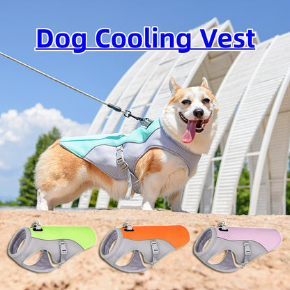 Summer Pet Dog Cooling Vest
