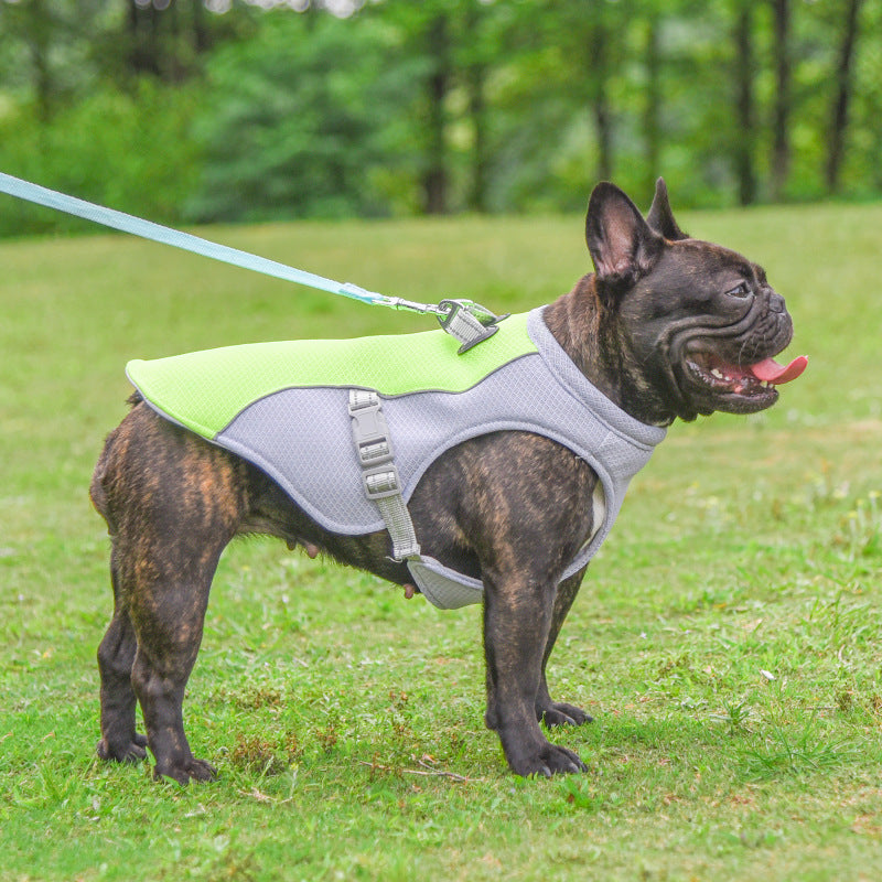 Summer Pet Dog Cooling Vest